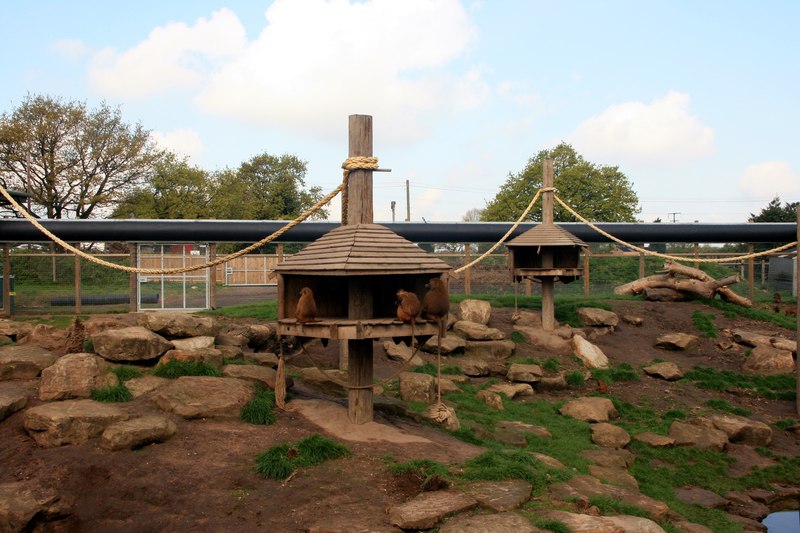 Yorkshire Wildlife Park Will Undergo a £50m Expansion