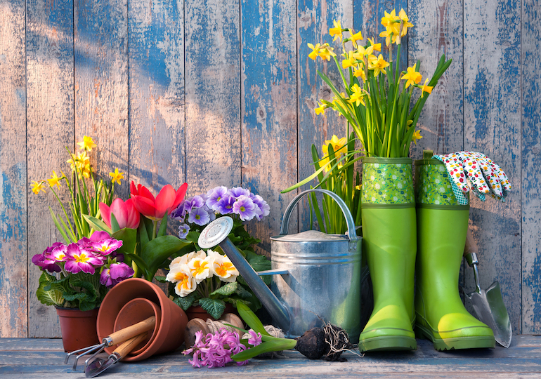 Cleaning and maintaining your garden for the summer