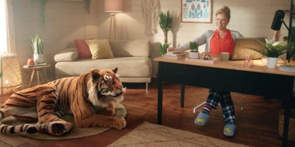 Tiger Launches New Brand Campaign for Consumers