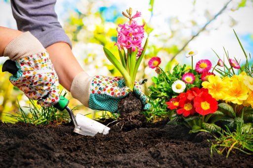 Getting your garden Spring ready