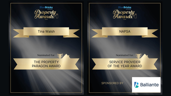 NAPSA Nominated for the 2024 Service Provider of the Year Award at Blue Bricks Property Awards