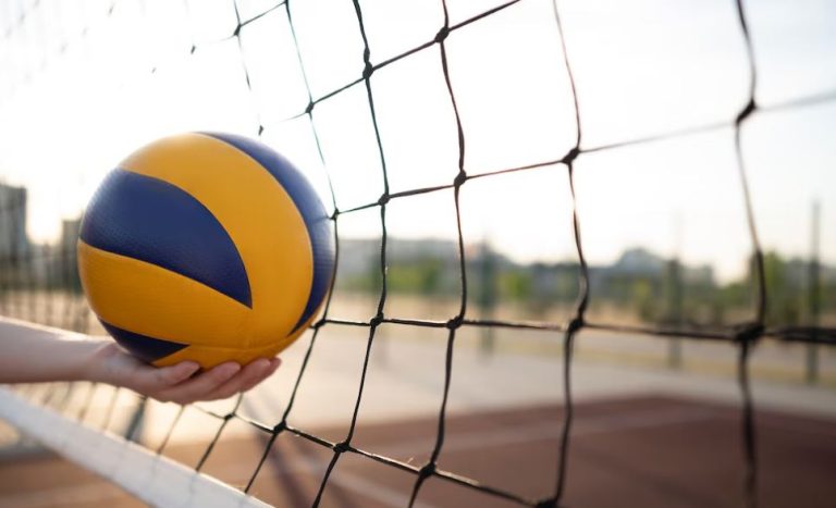 Best Volleyball Net For Backyard