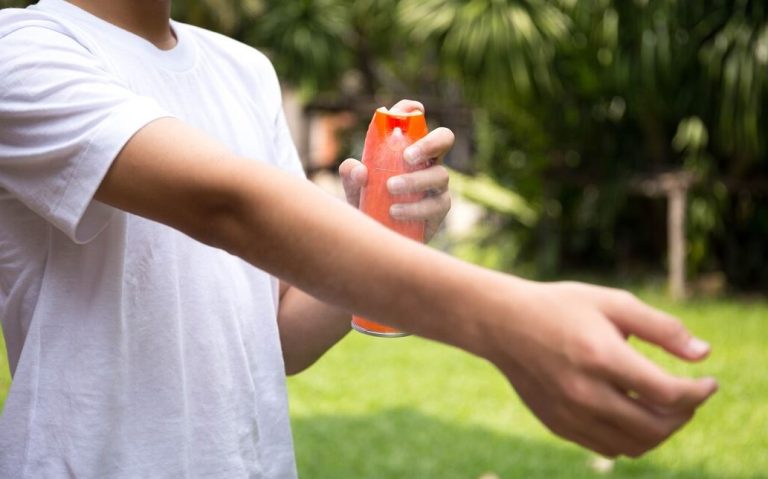 How To Get Rid Of Mosquitoes In Backyard