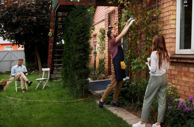 backyard makeover on a budget
