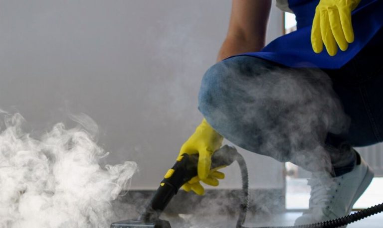 steam cleaner for sofa