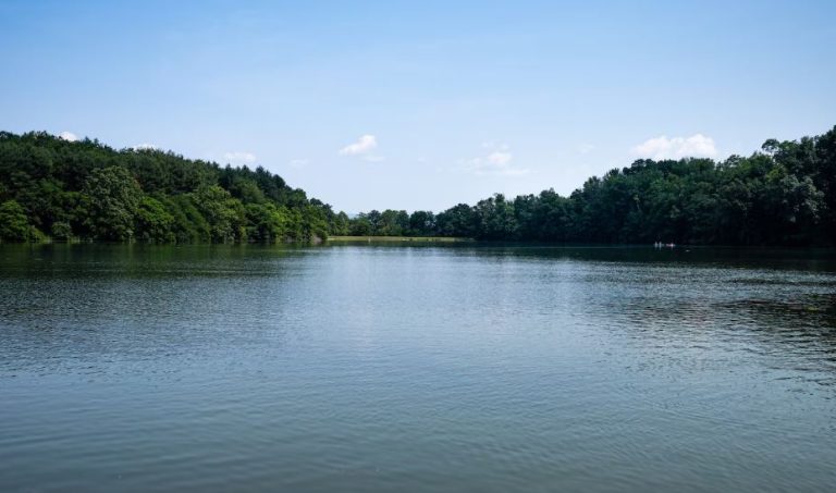 Table Rock Lake Water Level