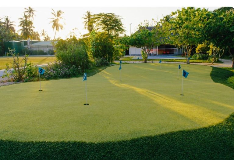 backyard putting green kit
