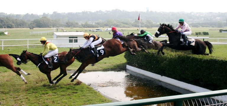 1280px Steeplechase (1257926029)