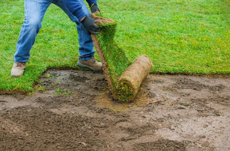 Landscaping in Cheltenham: Design, Function, and Long-Term Value A Practical Guide to Landscaping in Cheltenham