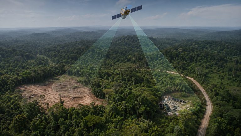 How AI and Satellites Catch Illegal Loggers and Dumpers Satellite and AI monitoring used to detect illegal logging and dumping