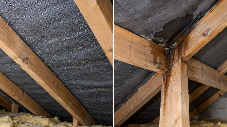 Loft Condensation or Roof Leak? How to Tell the Difference Loft condensation or roof leak
